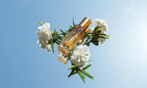 น้ำหอมโทนไหนเหมาะกับฤดูร้อน – ฤดูหนาว?